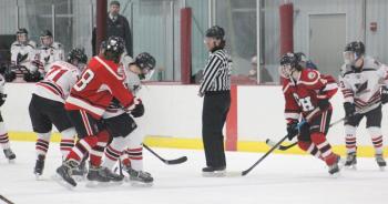 The Camden Hills varsity ice hockey team in a Jan. 14 game. (Courtesy Molly Cole)
