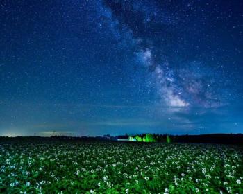 A peaceful evening overlooking a potato farm. Photo courtesy Maine Potato Board.