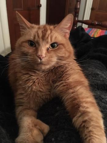 James is resting on the bed in his “temporary new office.” (Photo courtesy of Stacey Warner)