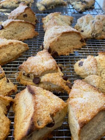 Sweet Cream Chocolate Chip scones
