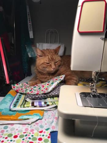 James is keeping watch over the materials that will soon be made into COVID-19 masks by his mom, Stacey Warner. (Photo courtesy of Stacey Warner)
