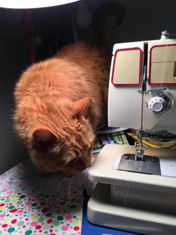What is this? James is curious about seeing a sewing machine for the first time. (Photo courtesy of Stacey Warner)
