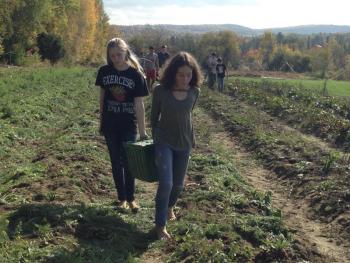 Ecology Learning Center students Azure Walauski (left) and Annalise Garnett (right) harvesting carrots at Songbird Farm in Unity. (Photo courtesy Ecology Learning Center)