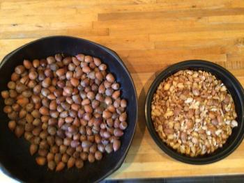 First wash and sort the acorns and then get crackin! Photo by Kay Stephens