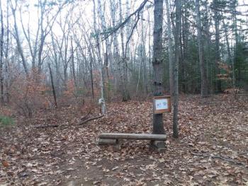 Along the 1.4 loop trail are pages of Liza Gardner Walsh’s latest children’s book, “The Fall Fairy Gathering.” Photo by Kay Stephens