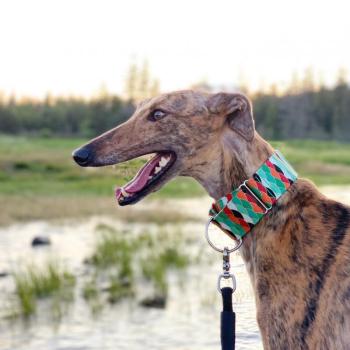 A collar produced by Vinalhaven’s An Hanna. (Courtesy photo)