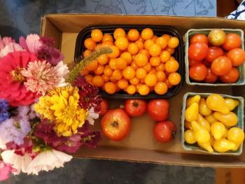 Food given to pantries. (Photo courtesy Maine Environmental Education Association (MEEA))