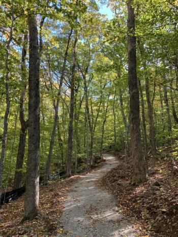 Photo courtesy Coastal Mountains Land Trust)