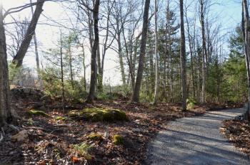 The Thorndike Brook Trailhead weaves alongside old farm stone walls. (Photo by Lynda Clancy)