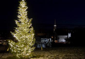 The Christmas Tree, at Harbor Park, in Camden.