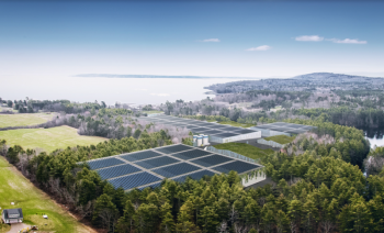 The proposed Nordic Aquafarms, Inc., facility with Penobscot Bay in the distance. (Image courtesy Nordic Aquafarms, Inc.)