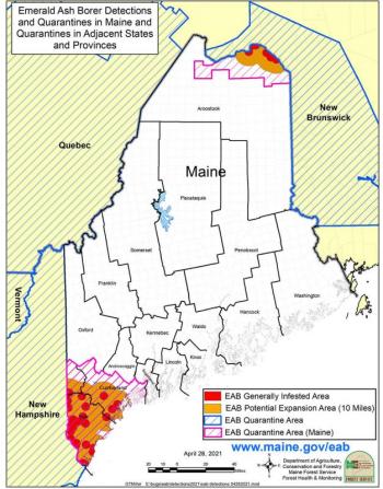 Emerald ash borer map. (Courtesy Maine Department of Agriculture, Conservation and Forestry