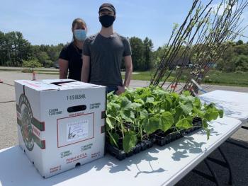 Little River Food Pantry receives JSS cucumber seedlings, Fedco apple trees, and greens. (Photo courtesy Waldo County Bounty)