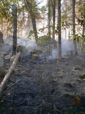 (Photo courtesy Thomaston firefighter Jamie Leo)
