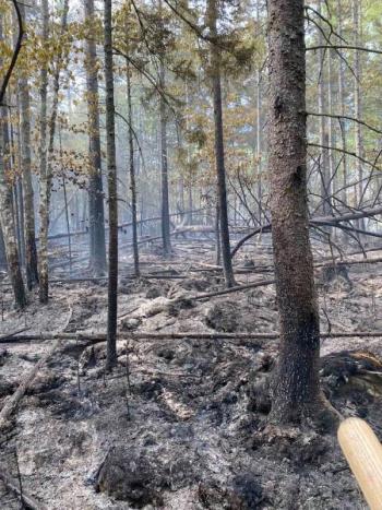 (Photo courtesy Thomaston firefighter Jamie Leo)