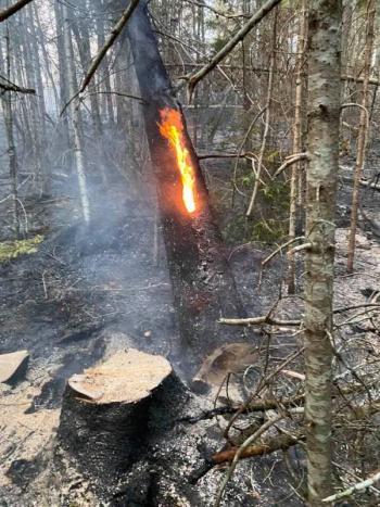 (Photo courtesy Thomaston firefighter Jamie Leo)