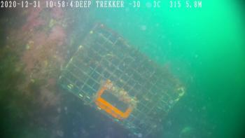 January view of a sunken trap in Rockland Harbor. (Photo courtesy Ian Emmott)