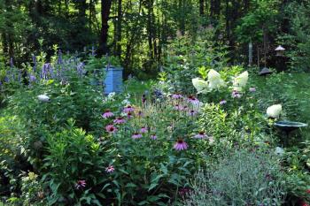 Paula Smith’s blue bee hives can be spotted in the back of her 54 Salmond St. garden in Belfast. Smith will open her garden Aug. 13, from 10 a.m. to 4 p.m. as part of Belfast Garden Club’s Open Garden Day.