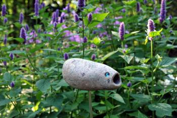A whimsical stone creature floats among a sea of Lavender at Paula Smith’s 54 Salmond St. garden. Smith will open her garden Aug. 13, from 10 a.m. to 4 p.m. as part of Belfast Garden Club’s Open Garden Day.