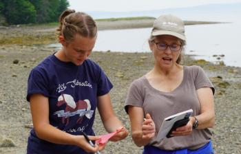 (Photo courtesy University of Maine Hutchinson Center)