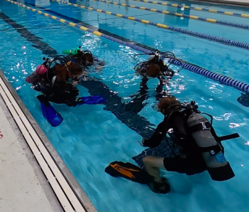 Before heading to the deep end of the pool, BAHS Marine studies students practice submerging themselves and clearing their masks. (Photo by Charles H. Lagerbom)