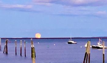 November full moon (Photo courtesy Carolyn Kanicki)