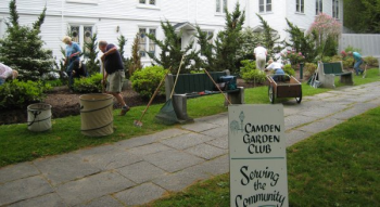 Members of the Camden Garden Club assisted with the renovation of the Village Green in 2015 and 2016. Plants were selected for their aesthetic value and spaced in a way that enabled them to mature into their surroundings without overcrowding the beds. (Photo courtesy Camden Garden Club)