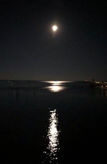 Christmas Full Moon. (Photo courtesy Carolyn Kanicki)