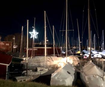 Boatyard Star. (Photo courtesy Carolyn Kanicki)