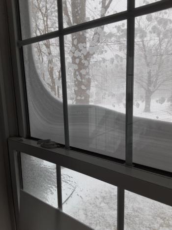January 29, 2022 blizzard. (Photo by Susan Kanellakis)