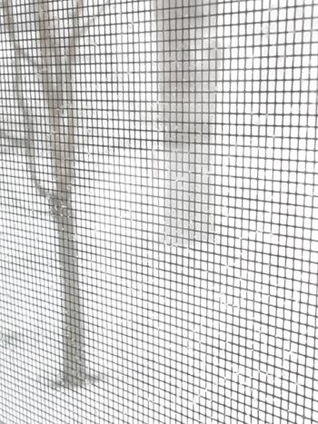 January 29, 2022 blizzard. (Photo by Susan Kanellakis)