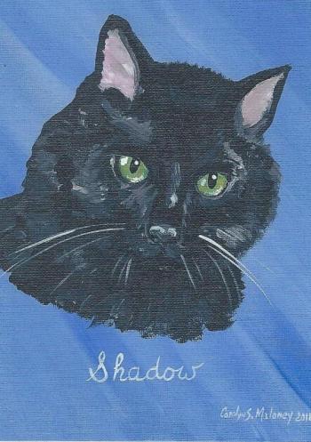 A drawing of Shadow, Barbara Dyer’s treasured cat.
