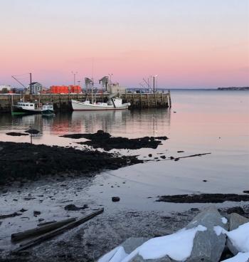 Rockland inner harbor. (Photo by Carolyn Kanicki)