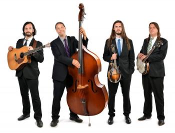 The Henhouse Prowlers