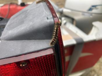 Browntail moth caterpillar displaying the distinctive two red dots and prickly, toxic hairs, hitchhiking to a new home. (Photo courtesy Maine Forest Service)