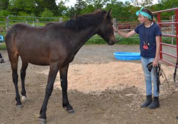 Jasper and Liza, May 31. (Photo by Lynda Clancy)