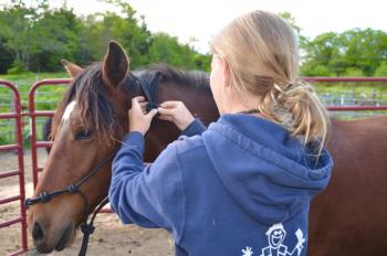 Ava and Apollo, May 31. (Photo by Lynda Clancy)