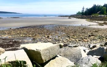 Low tide at Drift In Beach. (Photo by Carolyn Kanicki)