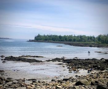 Summer in Maine! (Photo by Carolyn Kanicki)