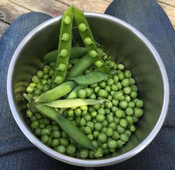 peas