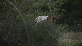 FORAGERS, directed by Jumana Manna. (Photo courtesy Camden International Film Festival)
