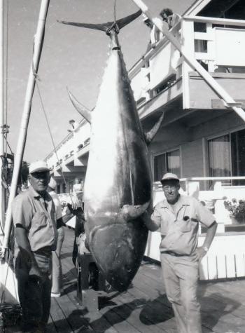 Catching a big tuna could mean catching a big prize. Pictured are past participants Ben Lewis and Howard Brewer at Brown Bros. File photo
