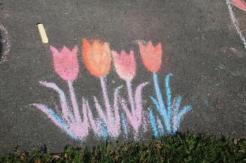 (photo by Erica Thoms)