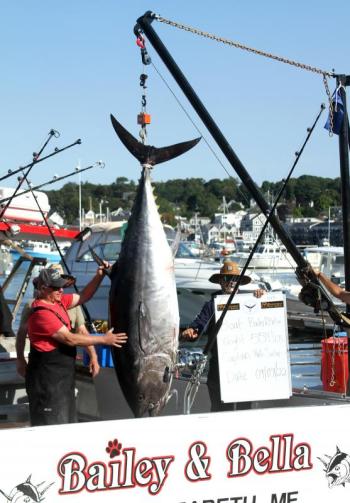 STEVE EDWARDS/Boothbay Register