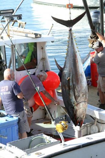STEVE EDWARDS/Boothbay Register