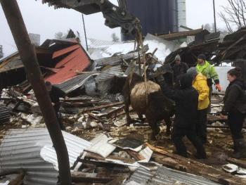 Galaxy is pulled from the ruble of a collapsed barn thanks to volunteer assistance by Jake Barbour Inc. (Photo from the Green Meadow Farm Facebook page, used with permission)