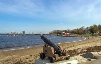 Cannon