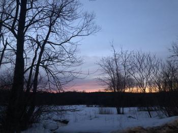 The largely snow-covered field where the authors heard the displaying American Woodcock earlier this week. Courtesy of Jeff Wells #bird-column, #woodcock, #boothbay register, #Jeff and Allison Wells, #birds, #Maine