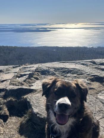 Conrad Wallace O’Brien atop Bald Rock. (Photo by Tracee O’Brien) Conrad