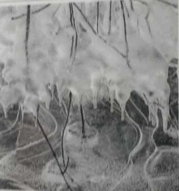 “Dripping” by Amy Durocher